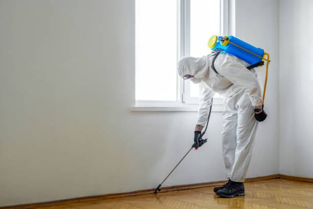 Best Local Pest Control Services  in Pecos, TX