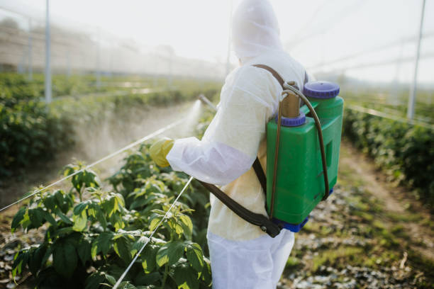 Trusted Pecos, TX Pest Control Experts